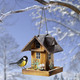 Winterlicher Garten - Bemaltes Futterhaus inklusive Metallkette, in Farbe BUNT – Farbe BUNT – Ansicht 2