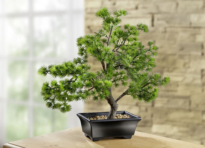 Kunst- & Textilpflanzen - Bonsai im Kunststoff-Topf, in Farbe GRÜN