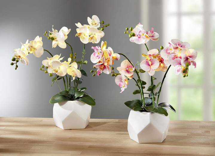Kunst- & Textilpflanzen - Beleuchtete Orchidee im Topf, in Farbe WEIß