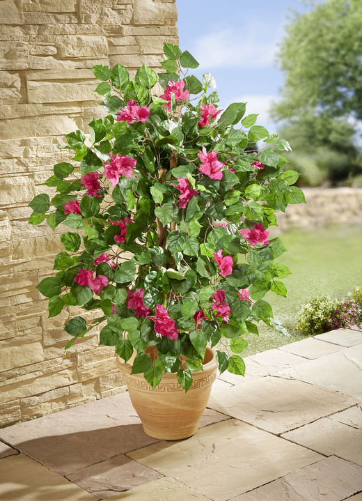 Kunst- & Textilpflanzen - Bougainvillea Kunstpflanze , in Farbe GRÜN-PINK