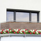 Sichtschutz und Sonnenschutz - Einseitig bedruckter Balkon-Sichtschutz inkl. Befestigungsmaterial, in Farbe , in Ausführung Balkon-Sichtschutz Tulpen – Ansicht 1