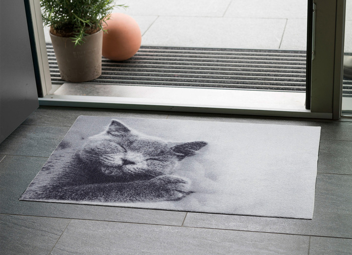 Fußmatten - Fußmatte für Fußbodenheizung geeignet, in Größe 100 (40x60 cm) bis 103 (50x70 cm), in Farbe GRAU Ansicht 1