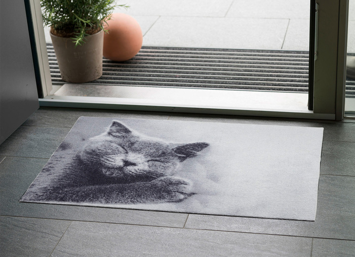 - Fußmatte für Fußbodenheizung geeignet, in Größe 100 (40x60 cm) bis 103 (50x70 cm), in Farbe GRAU Ansicht 1