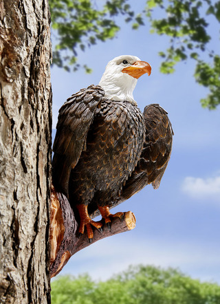 Baumdeko Adler