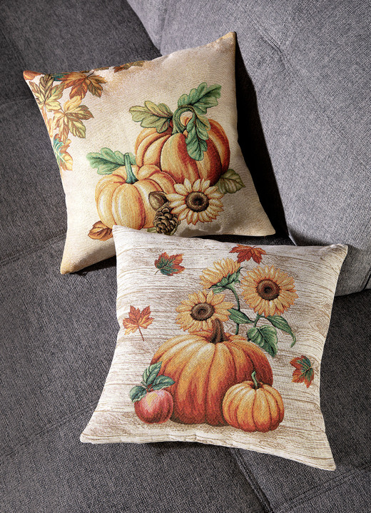 Kissenbezüge - Kissenbezüge aus Gobelin, in Farbe NATUR-BUNT, in Ausführung Kissenbezug 