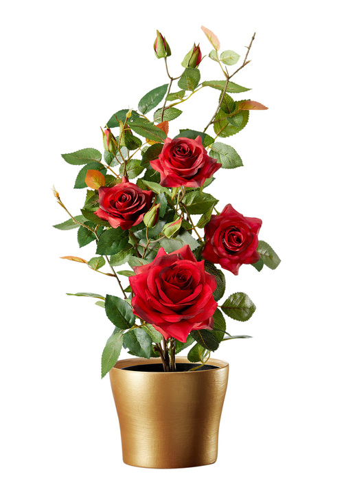 Kunst- & Textilpflanzen - Bezauberndes Rosengesteck im Topf, in Farbe ROT Ansicht 1