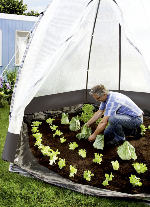 Gartenzubehör - Tropical Island Pflanzenzelt / Zubehör: Perfekter Schutz bei Wind und Wetter, in Farbe DURCHSICHTIG, in Ausführung Pflanzenzelt, L130xB130cm Ansicht 6