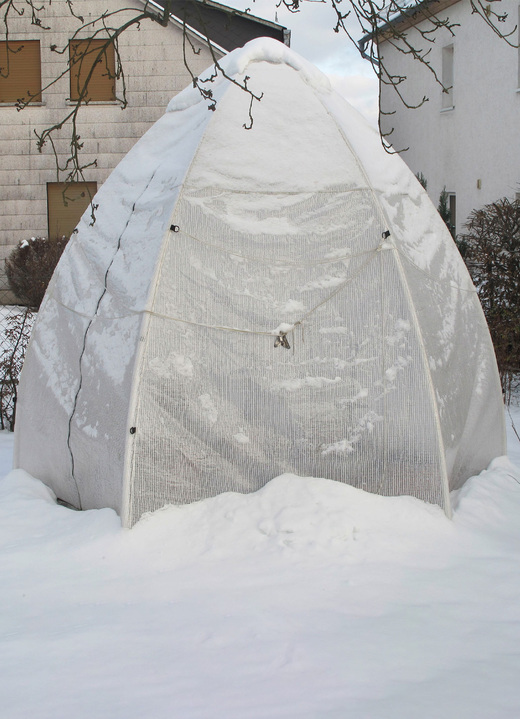 Gartenzubehör - Tropical Island Pflanzenzelt / Zubehör: Perfekter Schutz bei Wind und Wetter, in Farbe DURCHSICHTIG, in Ausführung Pflanzenzelt, L130xB130cm Ansicht 14