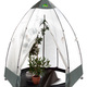 Gartenzubehör - Tropical Island Pflanzenzelt / Zubehör: Perfekter Schutz bei Wind und Wetter, in Farbe DURCHSICHTIG, in Ausführung Pflanzenzelt, L130xB130cm – Farbe DURCHSICHTIG – Ansicht 17