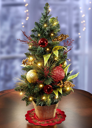 Beleuchteter Tannenbaum