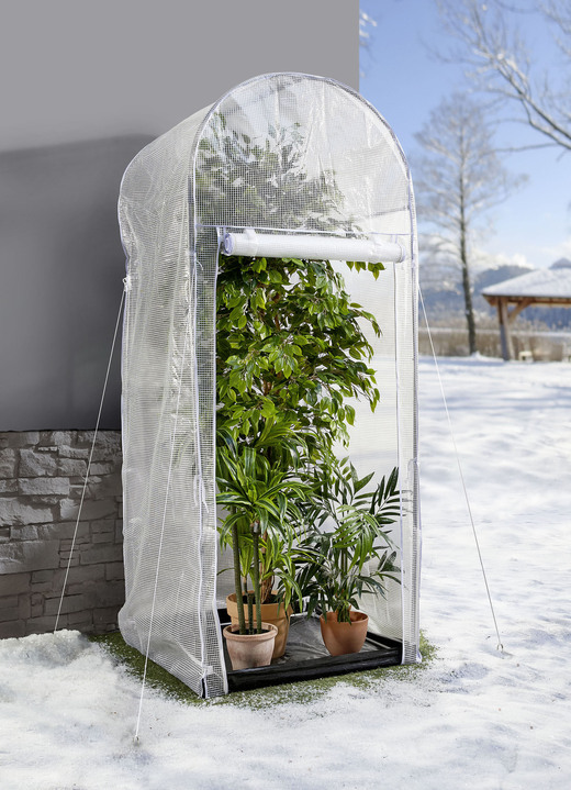 Winterlicher Garten - Frost-Schutzhaus Palm Protect, in Farbe WEISS-TRANSPARENT