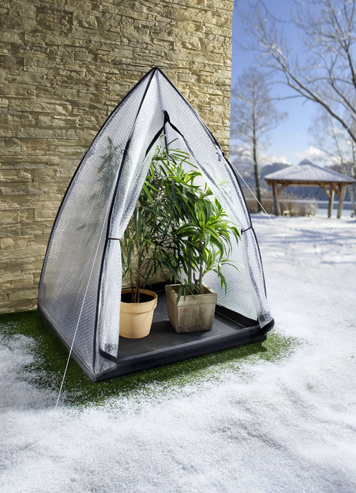 - Winterschutz Frostschutzhaus Polar, in Farbe TRANSPARENT Ansicht 2