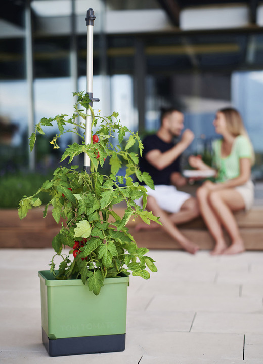 Blumentöpfe und Pflanzgefäße - Gusta Garden Tom Tomato mit Bewässerungssystem, in Farbe GRÜN