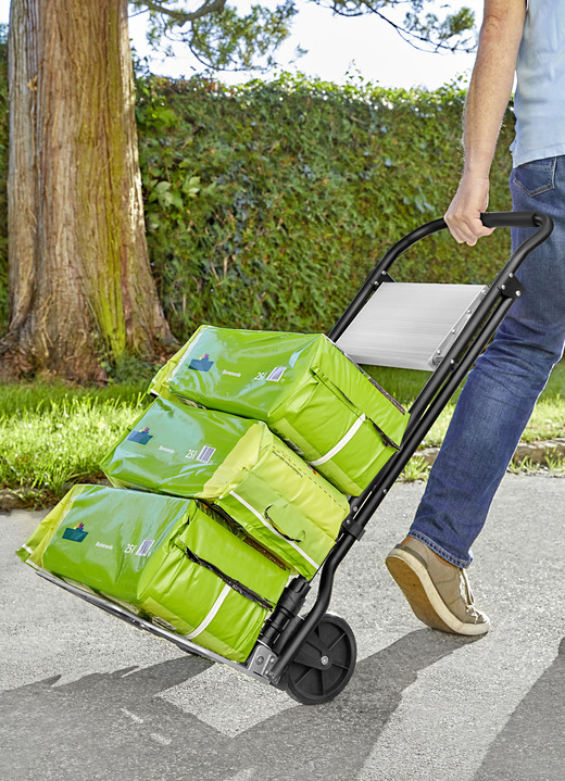 - Klappbarer Tritt-Lastentrolley, in Farbe SCHWARZ-SILBER Ansicht 6