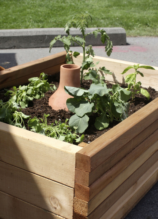 - Hydro-Max Bewässerungssystem, in Farbe TERRAKOTTA, in Ausführung Hydro-Max S, 1 Liter Wasserspeicher Ansicht 11