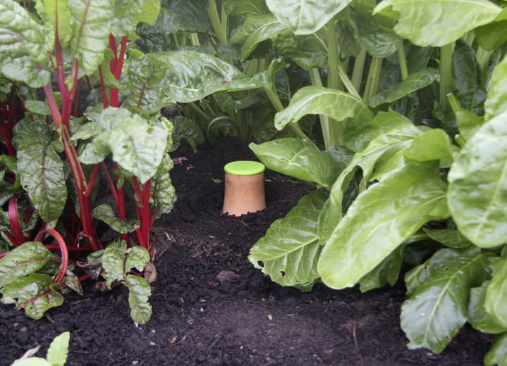 - Hydro-Max Bewässerungssystem, in Farbe TERRAKOTTA, in Ausführung Hydro-Max S, 1 Liter Wasserspeicher Ansicht 12