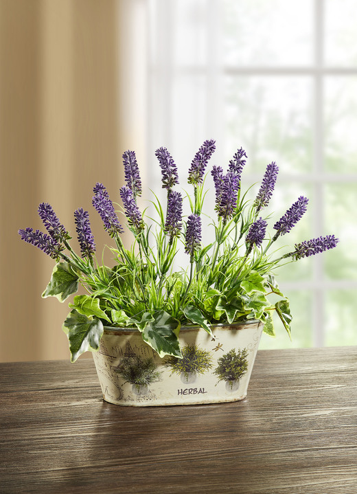 - Lavendel im Metall-Topf, in Farbe VIOLETT