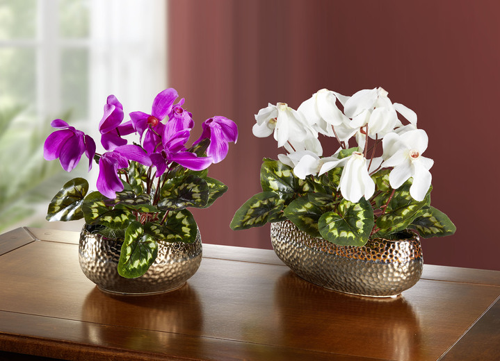 Kunst- & Textilpflanzen - Alpenveilchen in Schale, in Farbe PINK, in Ausführung Alpenveilchen in runder Schale Ansicht 2