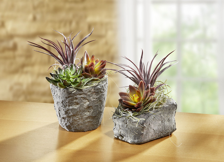 Kunst- & Textilpflanzen - Sukkulenten-Arrangement im Topf, in Farbe MAUVE, in Ausführung klein Ansicht 2