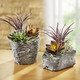 Kunst- & Textilpflanzen - Sukkulenten-Arrangement im Topf, in Farbe MAUVE, in Ausführung klein – Farbe MAUVE – Ansicht 2
