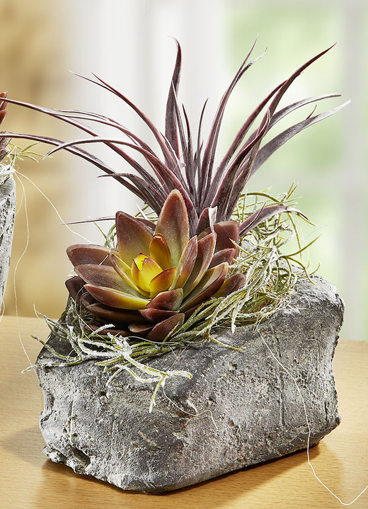 Kunst- & Textilpflanzen - Sukkulenten-Arrangement im Topf, in Farbe MAUVE, in Ausführung klein Ansicht 1