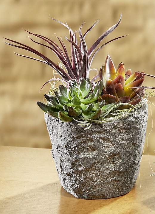 Kunst- & Textilpflanzen - Sukkulenten-Arrangement im Topf, in Farbe MAUVE, in Ausführung klein Ansicht 3