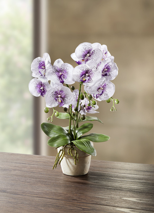 Kunst- & Textilpflanzen - Orchidee im Topf, in Farbe WEISS-LILA