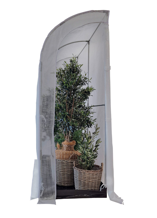 Gartenzubehör - Winterschutz-Haus Iceland, in Farbe TRANSPARENT Ansicht 2