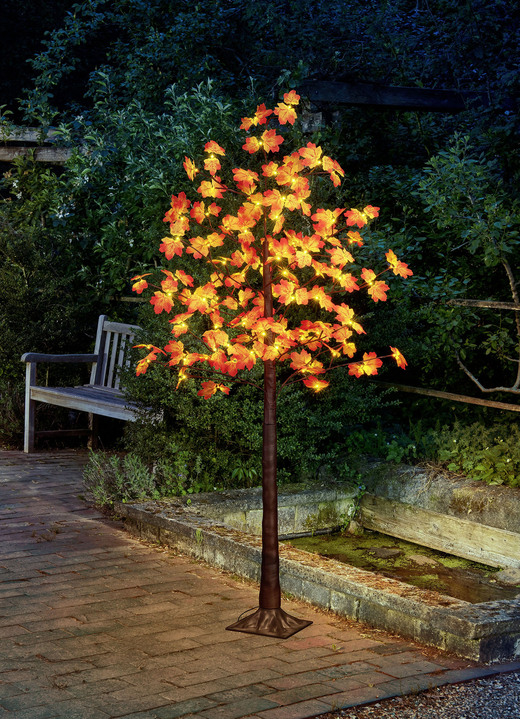 Leuchtende Dekoration - LED-Ahorn-Baum mit herbstlicher Blattfärbung, in Farbe BRAUN, in Ausführung Höhe 120 cm