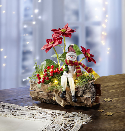 Beleuchtetes Poinsettia-Arrangement