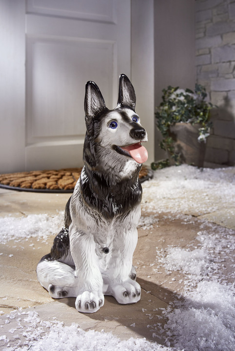 - Bewegungsmelder Husky, in Farbe SCHWARZ-WEISS