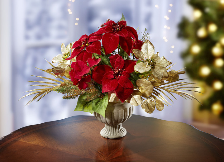 Weihnachten - Poinsettia/Hortensie-Arrangement in Keramikpokal, in Farbe ROT-GOLD