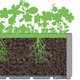 Blumentöpfe und Pflanzgefäße - Pflanzkasten aus recyceltem Polypropylen, in Farbe GRÜN, in Ausführung Mit Spalier, schmal – Farbe GRÜN – Ansicht 2