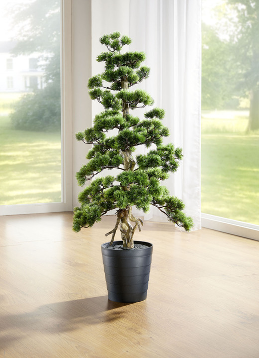 Kunst- & Textilpflanzen - Kiefer-Bonsai, in Farbe GRÜN