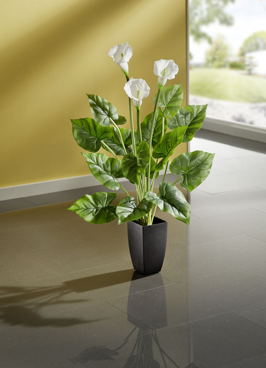 Kunst- & Textilpflanzen - Calla-Pflanze im Topf, in Farbe WEISS-GRÜN