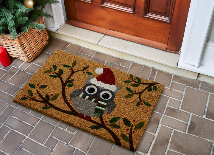 Fußmatten - Kokos-Fußmatte mit Eulen-Motiv, in Farbe BUNT Ansicht 2