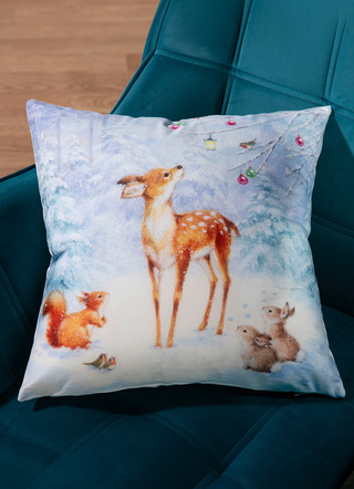 Kissenbezüge - Kissenbezug in Samtoptik, in Farbe BUNT