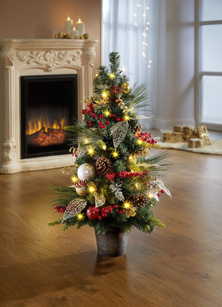 Beleuchteter Tannenbaum