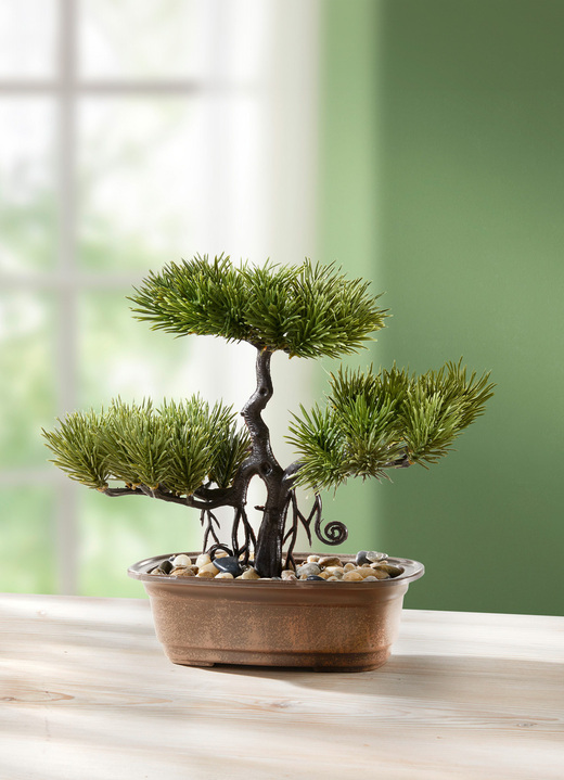 Kunst- & Textilpflanzen - Fernöstlicher Bonsai, in Farbe GRÜN-BRAUN