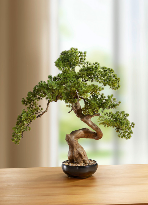 Kunst- & Textilpflanzen - Bonsai in Keramikschale, in Farbe GRÜN