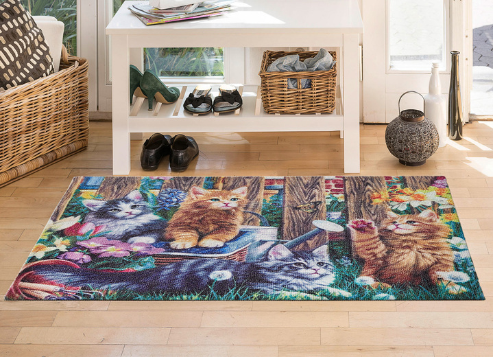 Fußmatten - Fußmatte mit rutschhemmende Rückseite, in Farbe BUNT Ansicht 2