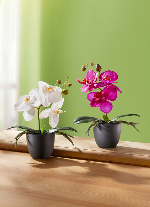 Kunst- & Textilpflanzen - Zauberhafte Orchideen, 2er-Set, in Farbe WEISS-PINK