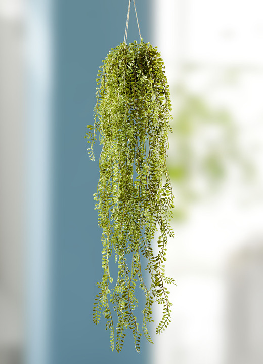 Kunst- & Textilpflanzen - Senecio-Hänger mit Aufhängung, in Farbe GRÜN