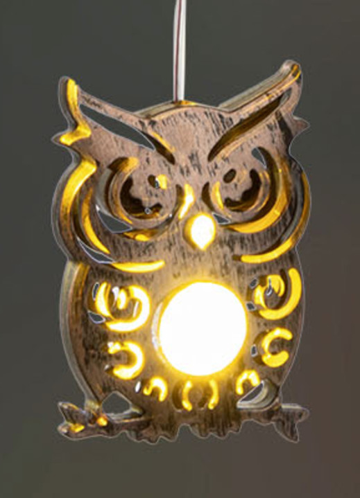 Leuchtende Dekoration - Solar-Windspiel mit Eulen, in Farbe SILBER Ansicht 2