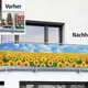 Sichtschutz und Sonnenschutz - Balkonsichtschutz mit Sonnenblumen-Motiv, in Farbe BUNT – Farbe BUNT – Ansicht 2