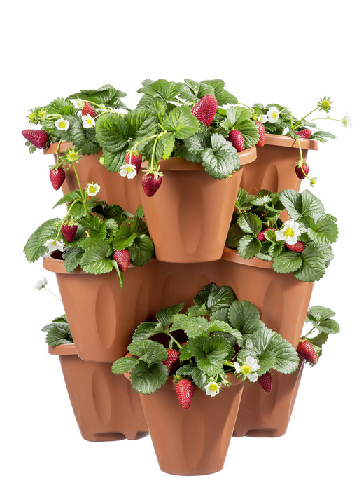 Blumentöpfe und Pflanzgefäße - Pflanzturm Trifoglio, in Farbe GRÜN Ansicht 6