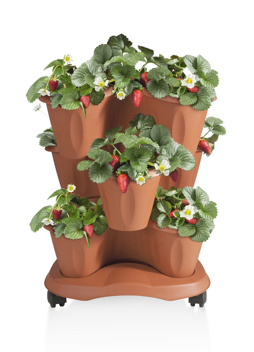 Blumentöpfe und Pflanzgefäße - Pflanzturm Trifoglio, in Farbe GRÜN Ansicht 7