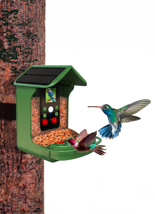 Gartendekoration - Futterhaus mit Kamera, in Farbe GRÜN Ansicht 1