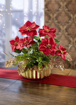 Poinsettia-Gesteck in Schale aus Keramik