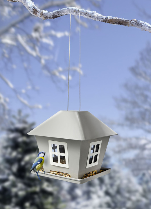 Winterliche Gartenhelfer - Futterhaus mit LED-Beleuchtung, in Farbe SILBER Ansicht 3